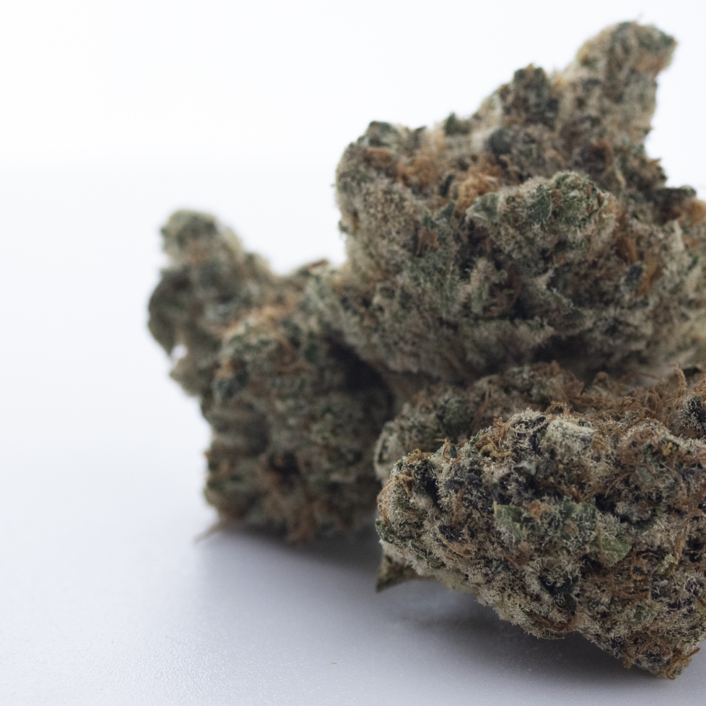 Bountiful Farms Grease Monkey x Mint Chocolate Chip flower