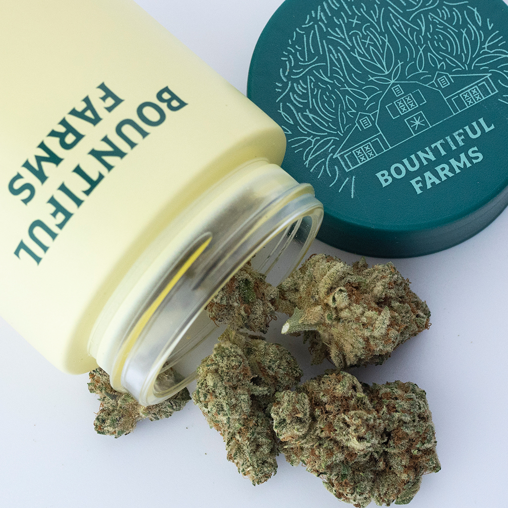Bountiful Farms Super Silver Haze x Sherbanger flower